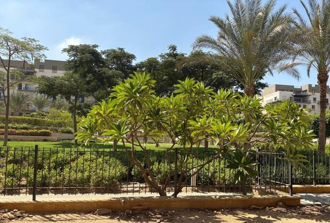 77324302 - صورة العقار 3