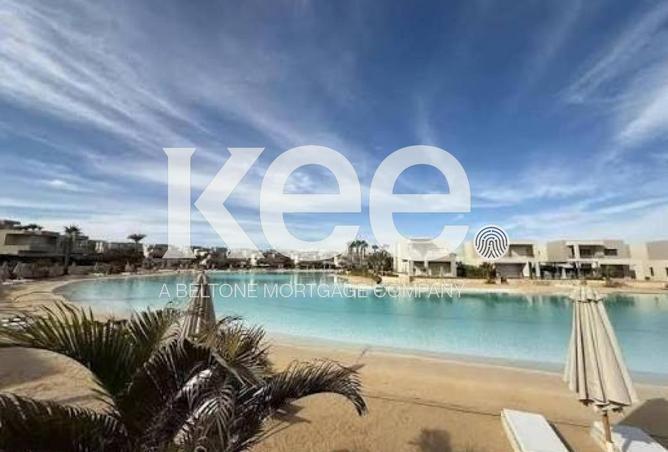 58256958 - صورة العقار 3