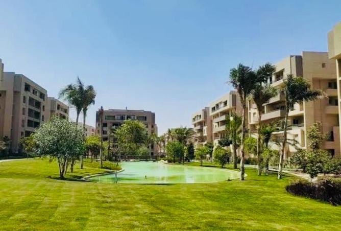 53987552 - صورة العقار 2