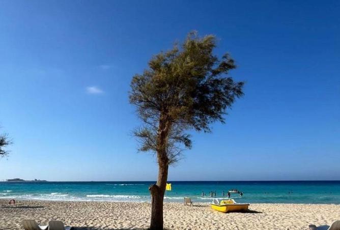 57239849 - صورة العقار 2