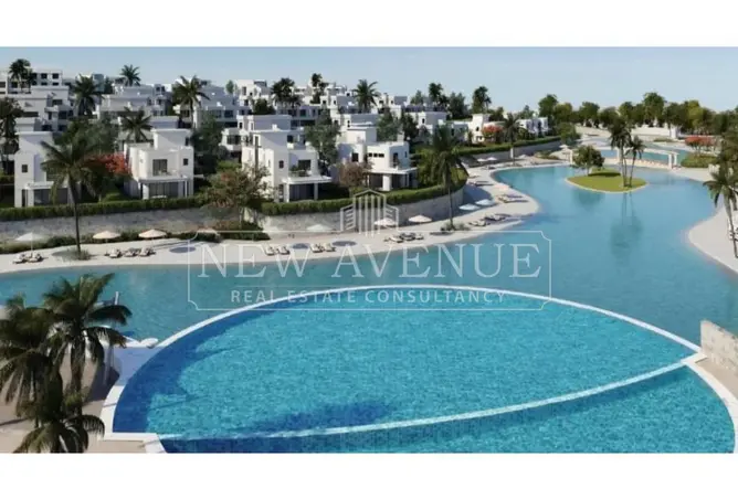 119585125 - Property Image 3