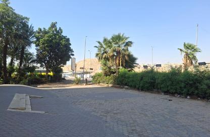 معرض - استوديو - 3 حمامات للبيع في شارع جامع صقر قريش - المعادي الجديدة - حي المعادي - القاهرة