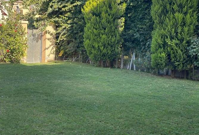 68521159 - صورة العقار 2