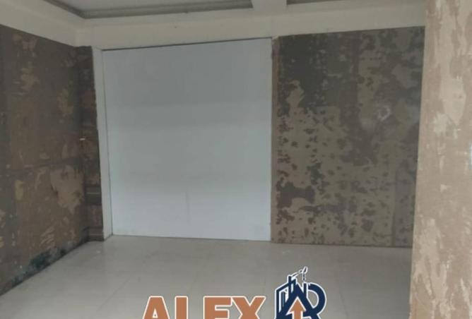 81047424 - Property Image 3