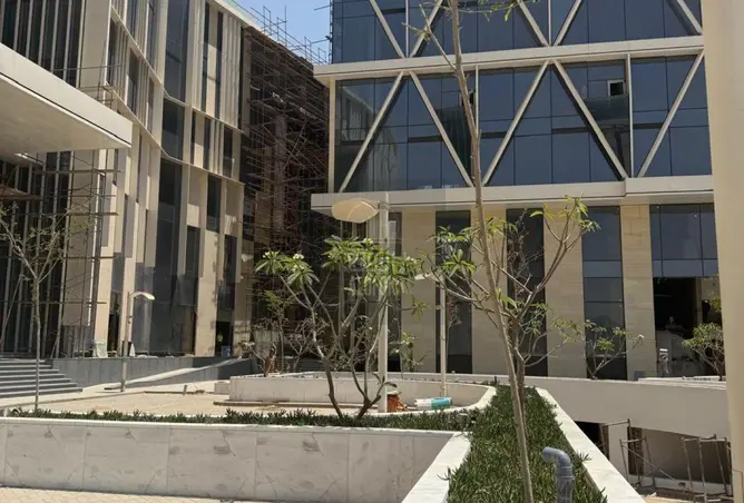 117008974 - Property Image 3