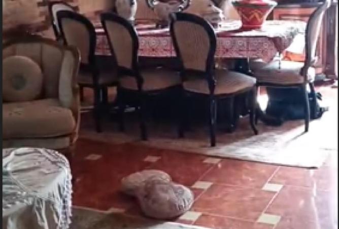 8678460 - Property Main Image