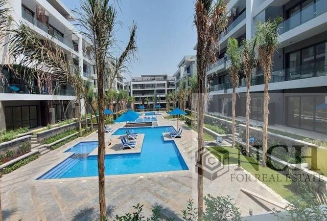 65909402 - Property Image 2