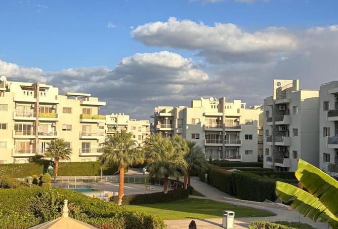 58244735 - صورة العقار 2