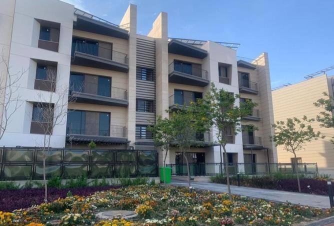 55260376 - صورة العقار 3