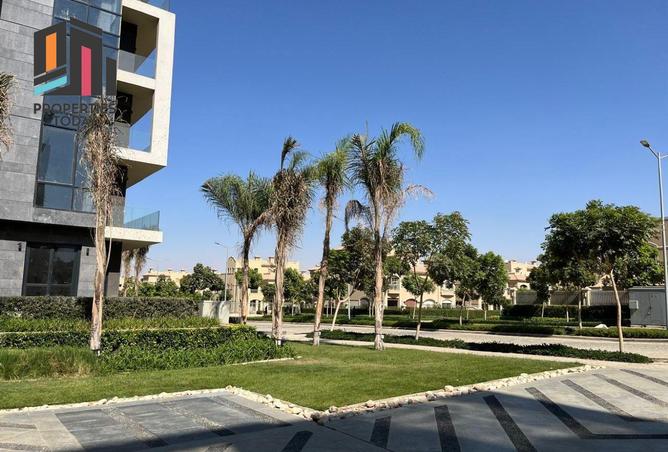 8603142 - Property Image 3