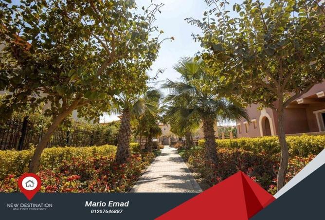 74597813 - Property Image 3