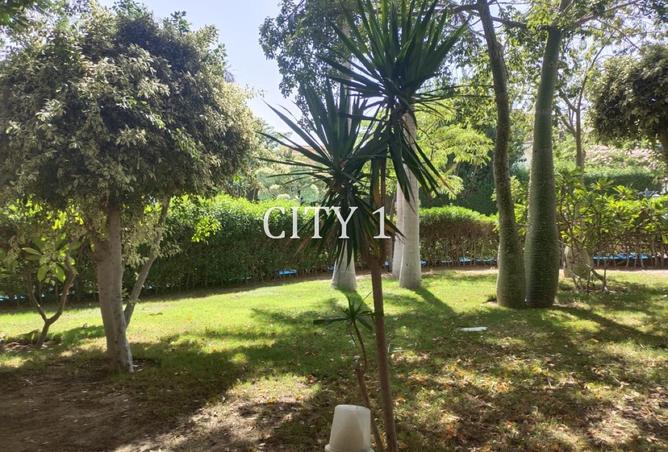 102916107 - Property Image 2