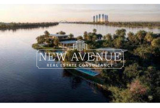 57489070 - Property Image 2