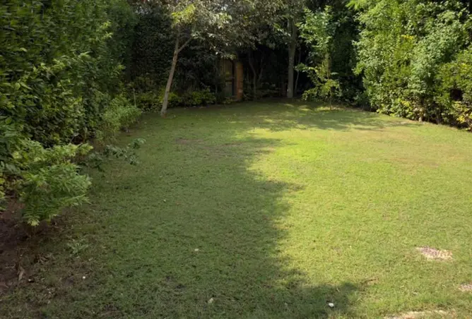 118031083 - Property Image 2
