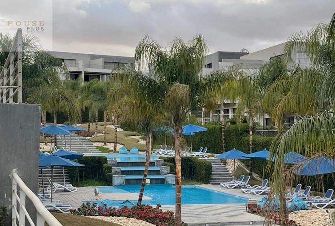 58256649 - Property Image 2