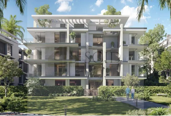 117537458 - Property Image 3