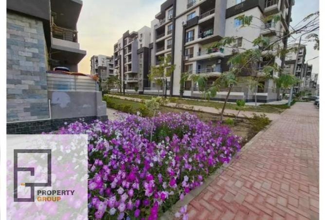 8716369 - صورة العقار 3