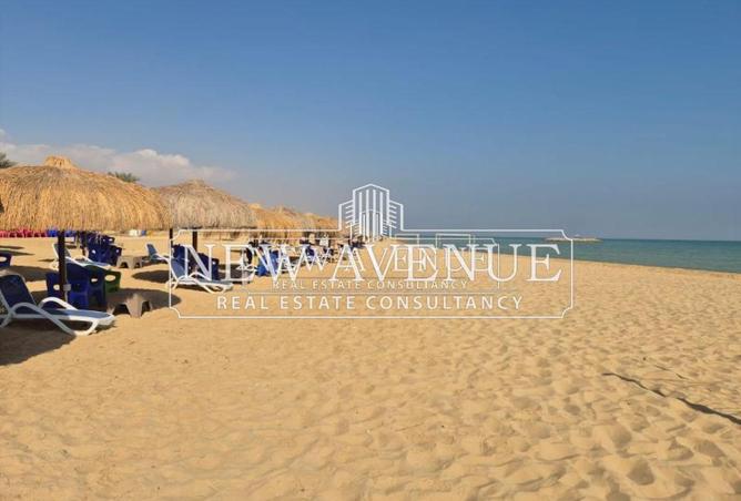 56499221 - Property Image 3