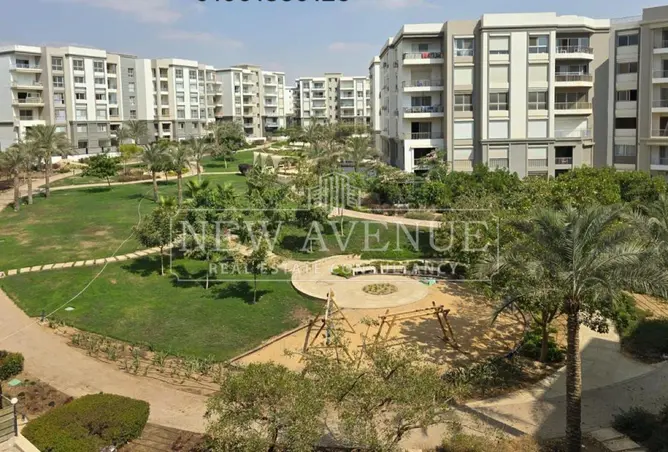 112701946 - Property Image 3