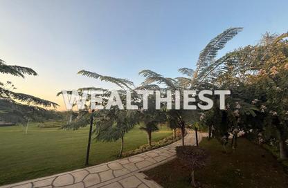 Twin House - 4 Bedrooms - 4 Bathrooms for sale in Privado - Madinaty - Cairo