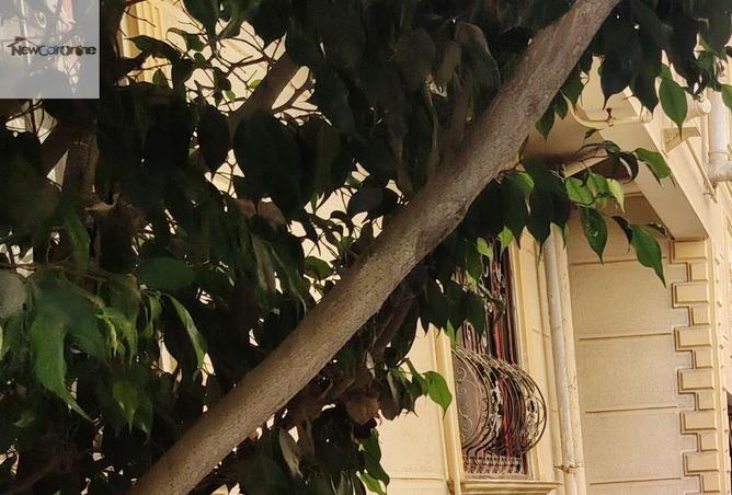 93521090 - الصورة الرئيسية للعقار