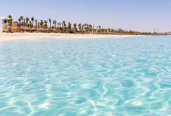 61686090 - صورة العقار 2