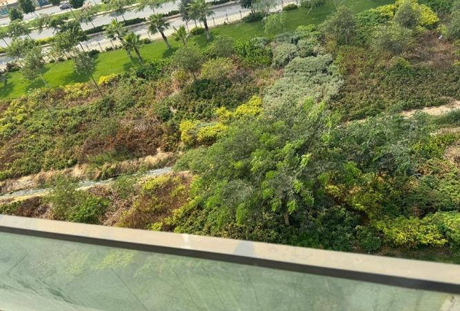 54750005 - صورة العقار 3