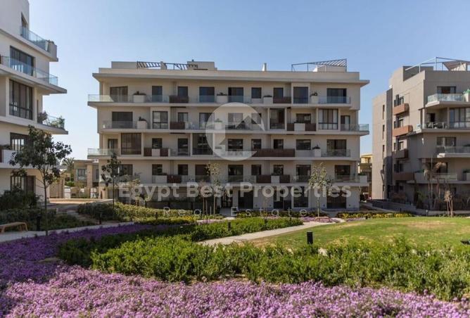 53974936 - Property Image 2