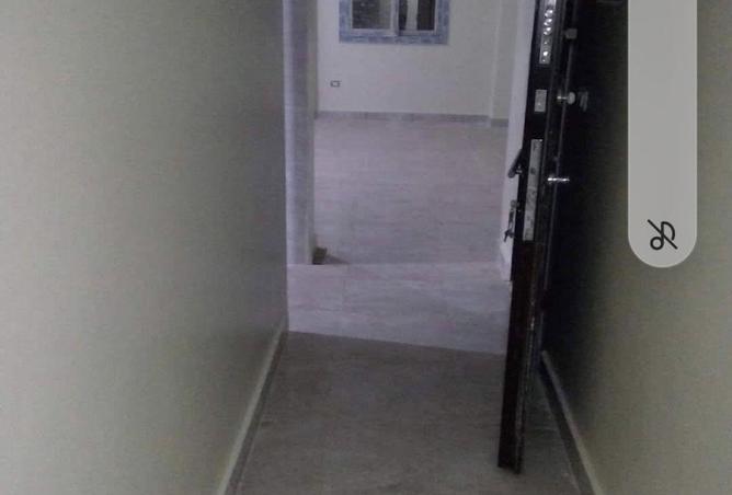 64393240 - Property Image 3