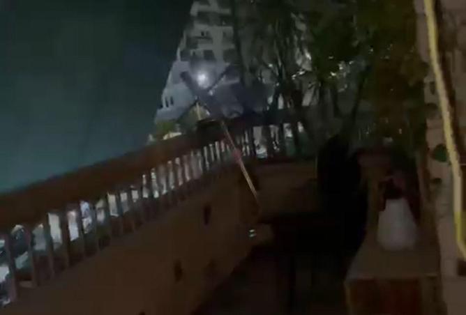 8647562 - Property Image 3