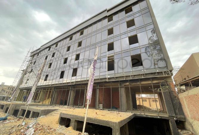 55999891 - Property Image 3