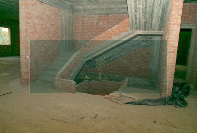 64382439 - Property Image 2