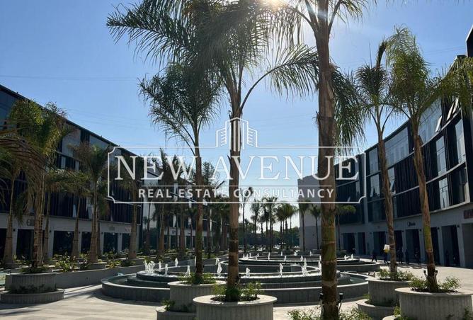 8678384 - Property Image 2