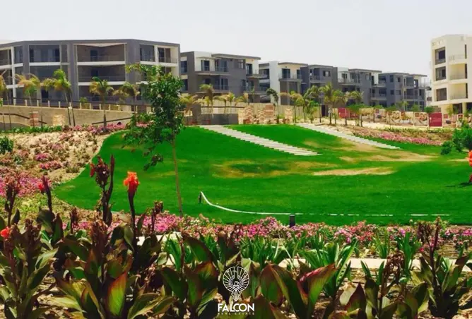 118808264 - Property Image 2