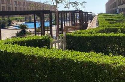 Chalet - 2 Bedrooms - 2 Bathrooms for sale in La Jolie - Al Ain Al Sokhna - Suez