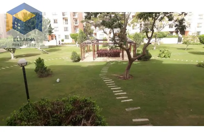 116758428 - Property Image 3