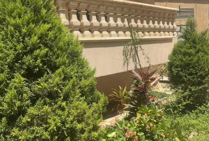 67729532 - Property Image 3