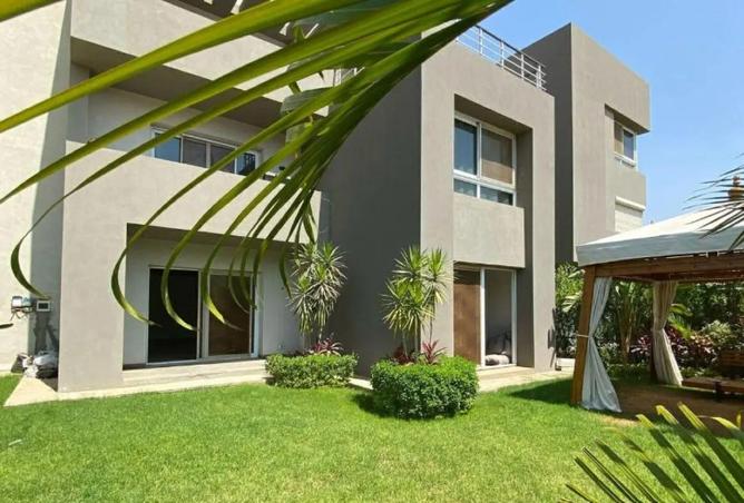 57497515 - صورة العقار 3