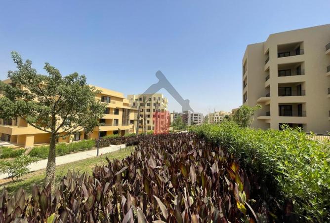 70363881 - الصورة الرئيسية للعقار