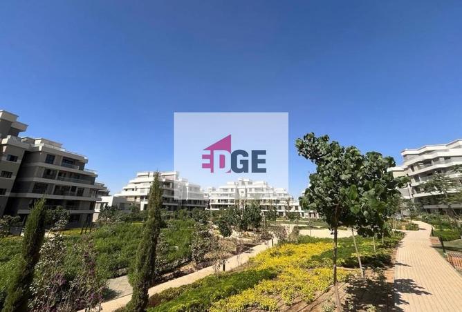 66955472 - صورة العقار 2