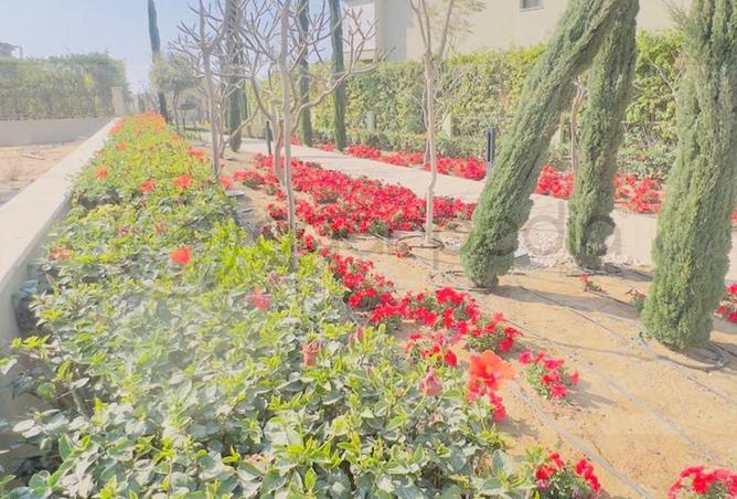 66687928 - صورة العقار 2