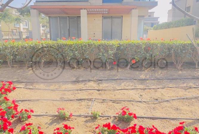 66687928 - صورة العقار 3