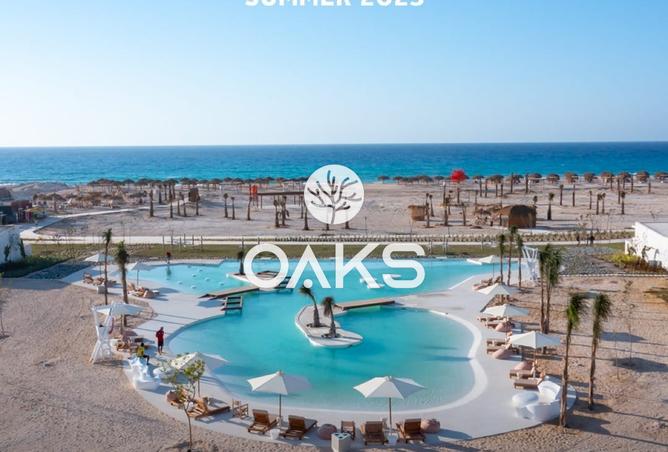 64384759 - Property Image 2