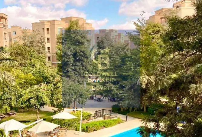 116495117 - صورة العقار 3