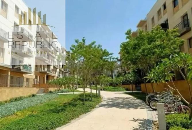 52975398 - Property Main Image