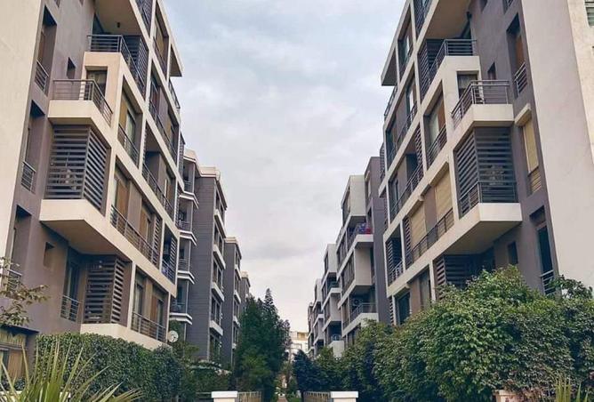 52187576 - صورة العقار 2