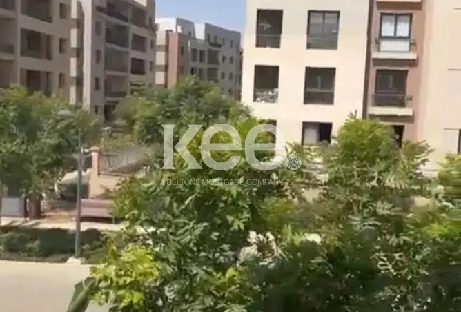 113535528 - صورة العقار 2