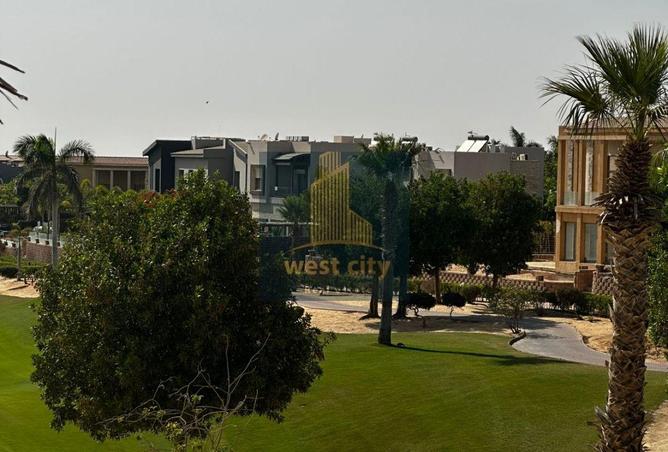 81055649 - صورة العقار 3