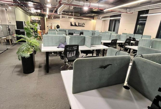 8592093 - Property Image 2