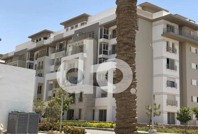 70106575 - Property Image 2